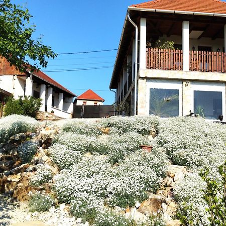 Hegyaljai Panoráma Vendégház Szerencs Kültér fotó