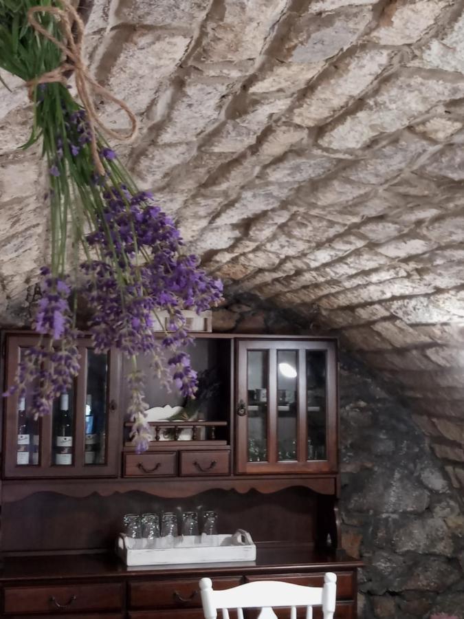 Hegyaljai Panoráma Vendégház Szerencs Kültér fotó