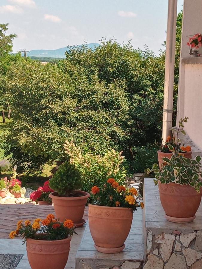 Hegyaljai Panoráma Vendégház Szerencs Kültér fotó