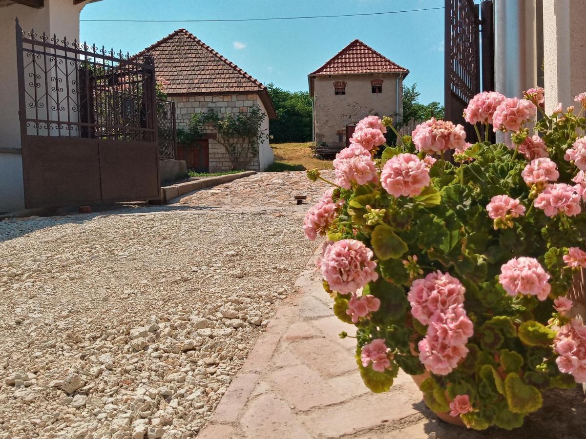 Hegyaljai Panoráma Vendégház Szerencs Kültér fotó