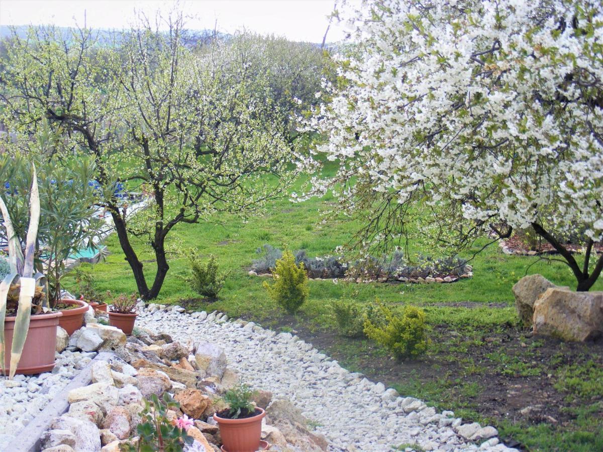 Hegyaljai Panoráma Vendégház Szerencs Kültér fotó