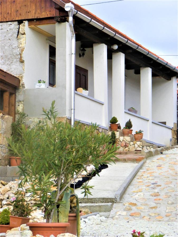 Hegyaljai Panoráma Vendégház Szerencs Kültér fotó