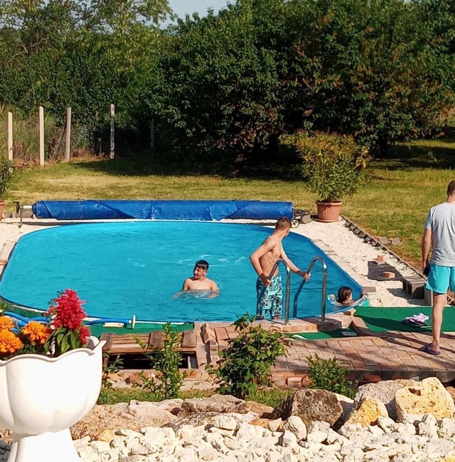 Hegyaljai Panoráma Vendégház Szerencs Kültér fotó