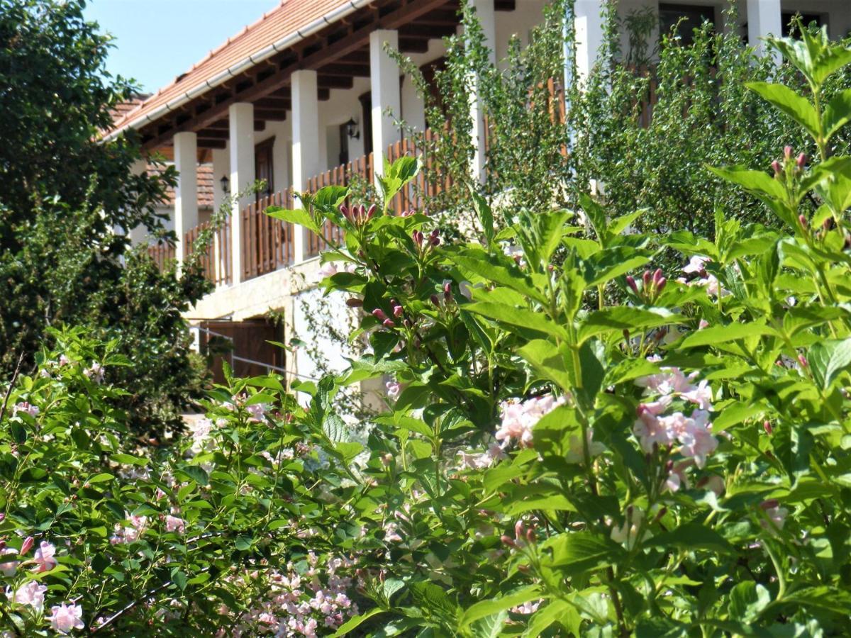 Hegyaljai Panoráma Vendégház Szerencs Kültér fotó