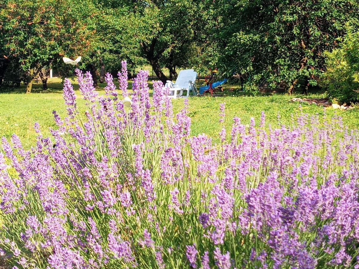 Hegyaljai Panoráma Vendégház Szerencs Kültér fotó