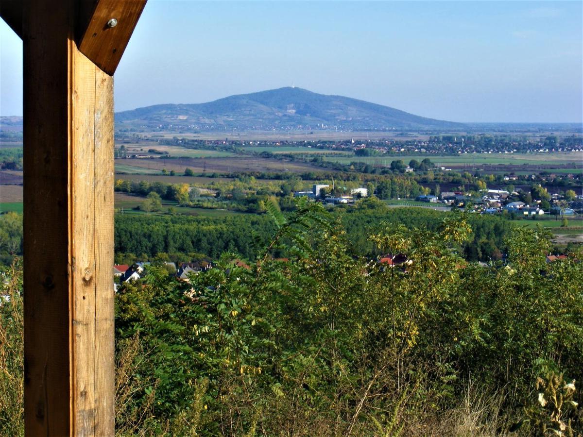 Hegyaljai Panoráma Vendégház Szerencs Kültér fotó