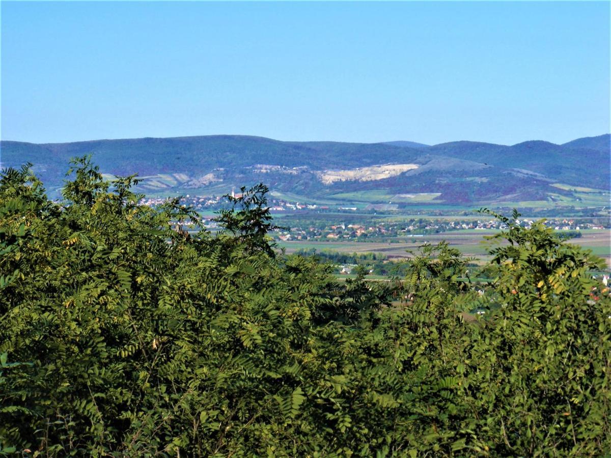 Hegyaljai Panoráma Vendégház Szerencs Kültér fotó