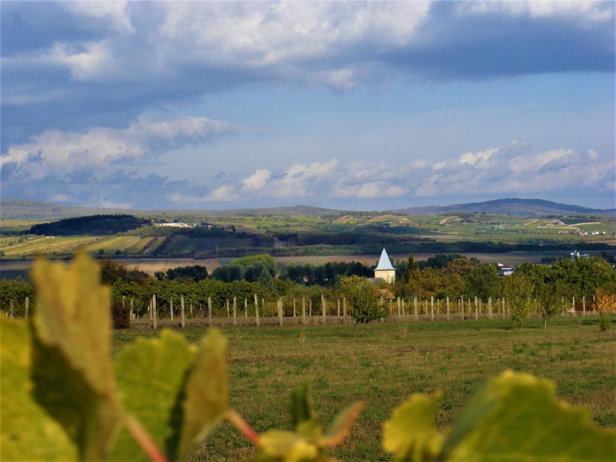 Hegyaljai Panoráma Vendégház Szerencs Kültér fotó