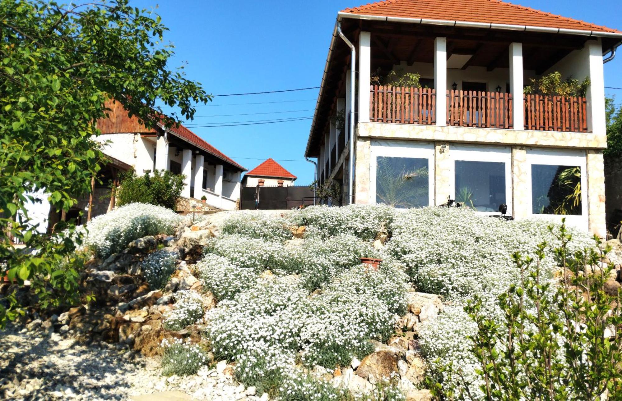 Hegyaljai Panoráma Vendégház Szerencs Kültér fotó
